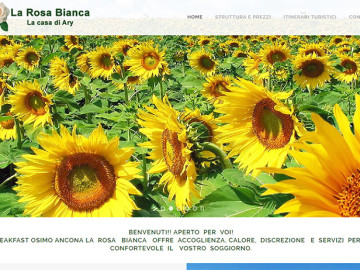 la-rosa-bianca
