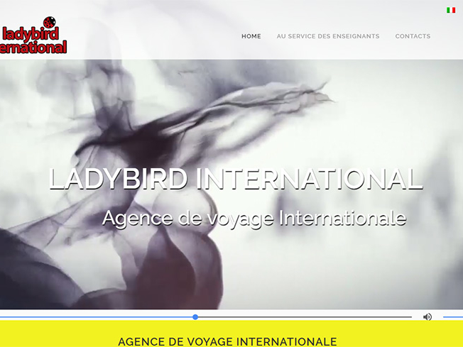 Ladybird International